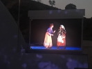 The view on the big screen at the Hollywood Bowl - Rebecca Spencer and Sutton Foster